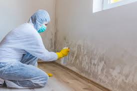 Best Basement Mold Removal  in Twin Lakes, CO